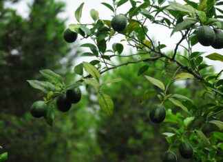 Elektrikli Bisikletler ve İklim Değişikliği: Nasıl Katkı Sağlıyor? Elektrikli Bisikletler ve İklim Değişikliği: Nasıl Katkı Sağlıyor?