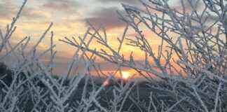 Elektrikli Bisikletlerde Kullanıcı Deneyimleri: Gerçek Yorumlar Elektrikli Bisikletlerde Kullanıcı Deneyimleri: Gerçek Yorumlar