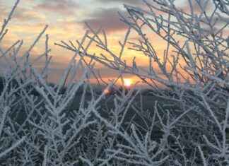 Elektrikli Bisikletlerde Kullanıcı Deneyimleri: Gerçek Yorumlar Elektrikli Bisikletlerde Kullanıcı Deneyimleri: Gerçek Yorumlar