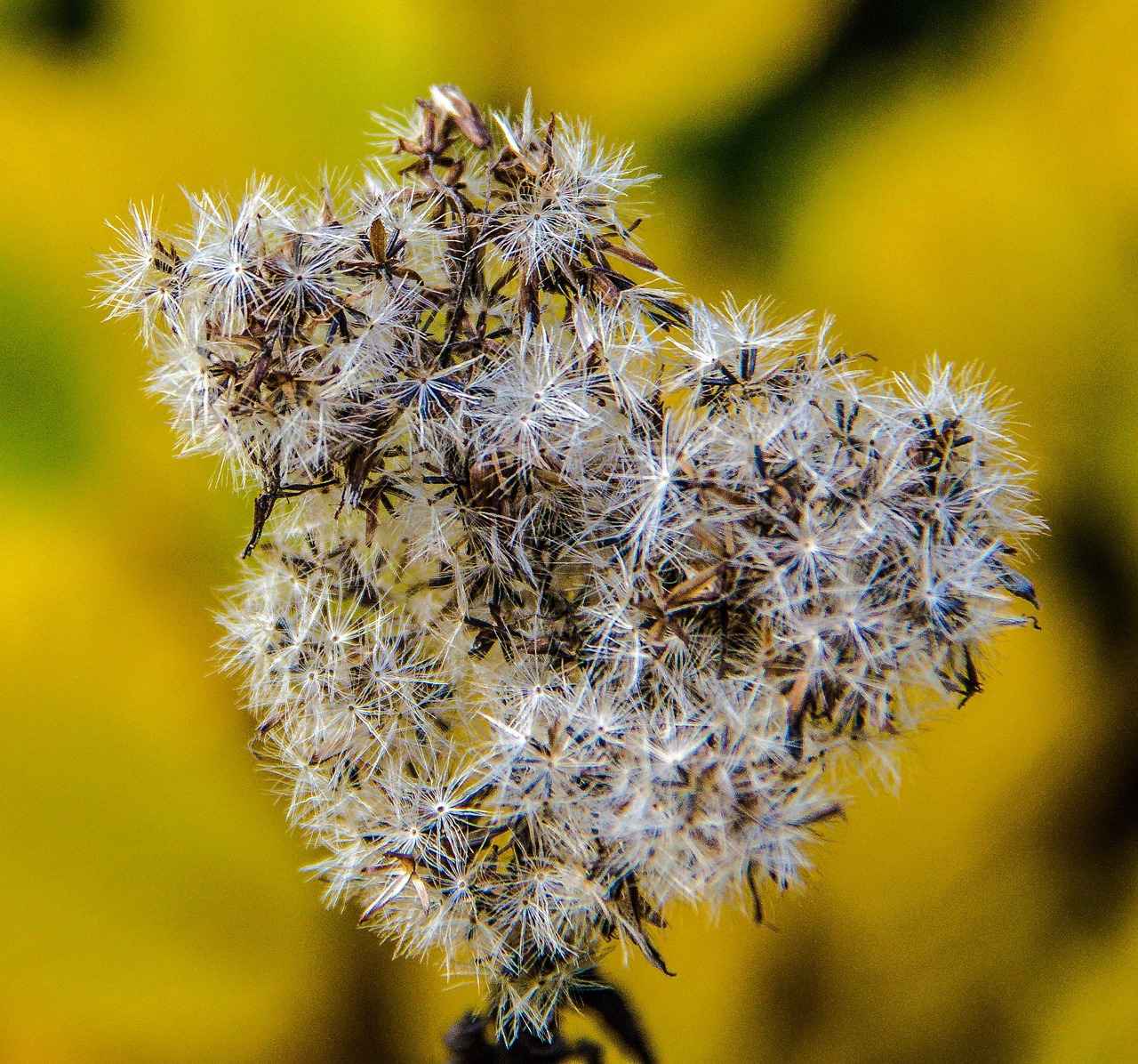 Farklı Yaş Grupları İçin Elektrikli Bisikletlerin Uygunluğu 5 Yaşlılar İçin Elektrikli Bisiklet Seçenekleri
