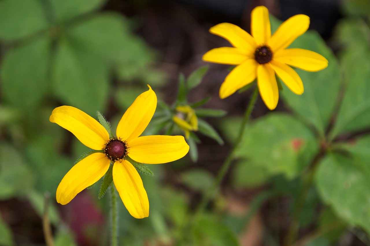 Elektrikli Bisiklet Nedir?