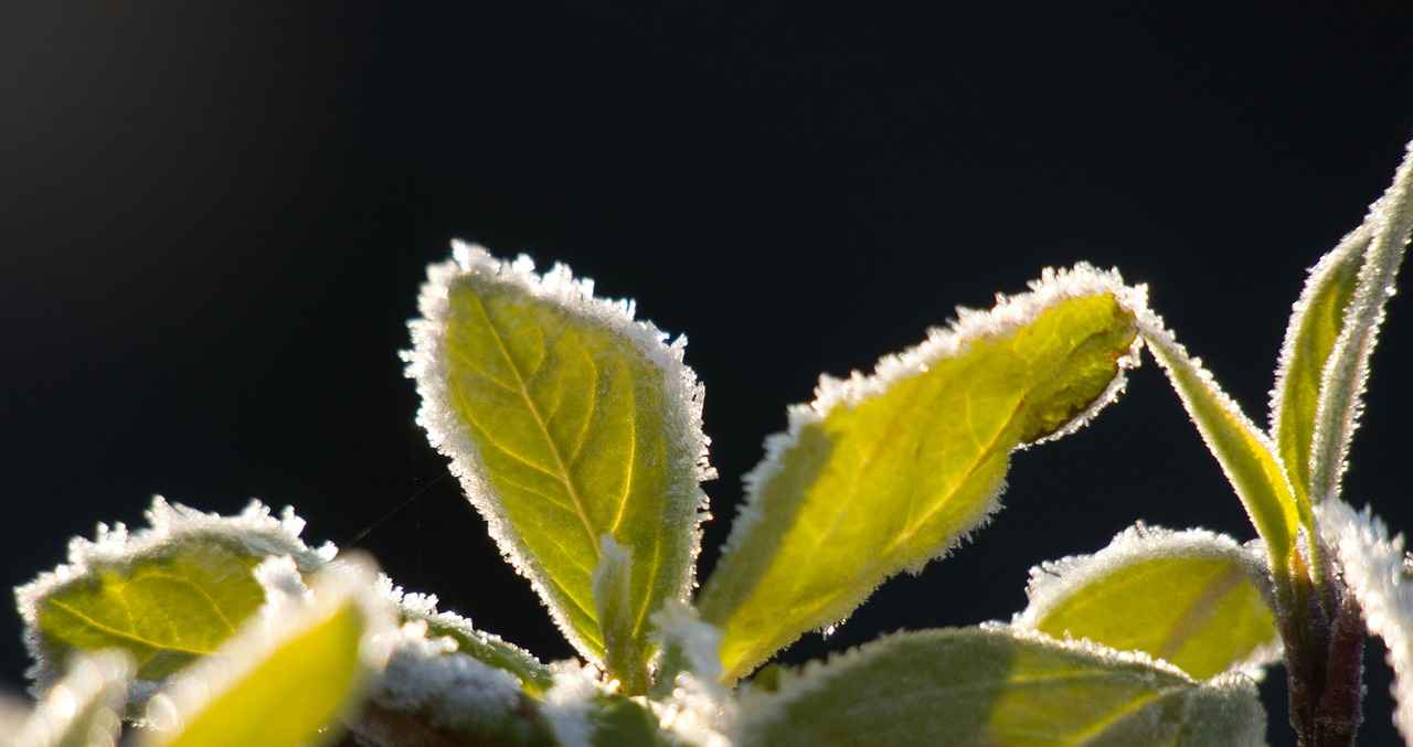 Elektrikli Bisiklet Fiyatları Nasıldır?