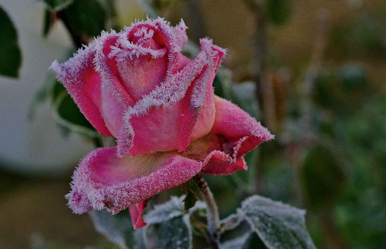 Elektrikli Bisikletlerin Menzil Kapasiteleri