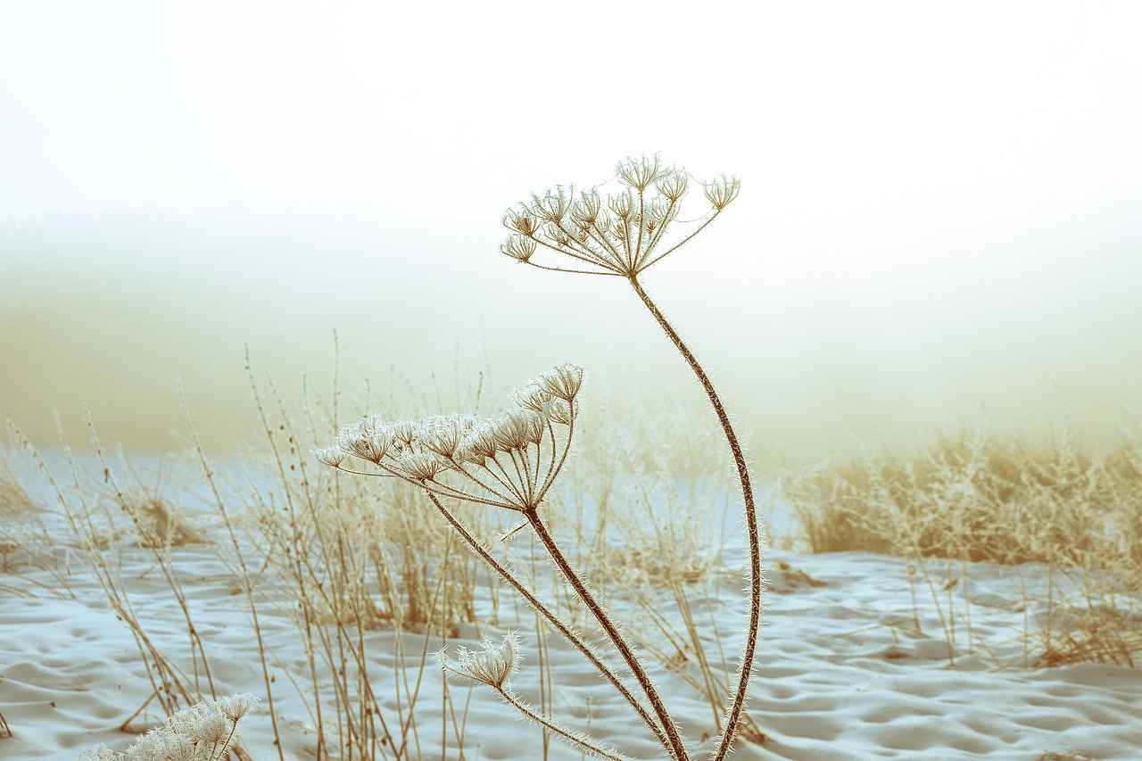 Fiyatına Değer Mi? Şehir İçi En Ekonomik Elektrikli Bisikletler ve Menzilleri 1 Elektrikli Bisiklet Nedir?