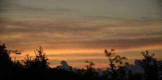 Güneş Enerjisi ve Elektrikli Bisikletler: Şarj Üzerine Çalışmalar Güneş Enerjisi ve Elektrikli Bisikletler: Şarj Üzerine Çalışmalar