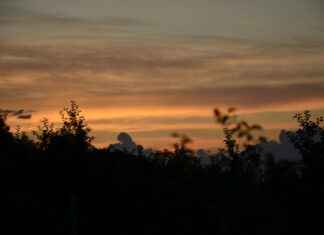 Güneş Enerjisi ve Elektrikli Bisikletler: Şarj Üzerine Çalışmalar Güneş Enerjisi ve Elektrikli Bisikletler: Şarj Üzerine Çalışmalar