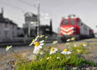 Güvenli Sürüş için Elektrikli Bisiklet Aynaları ve Görüş Yardımcıları Güvenli Sürüş için Elektrikli Bisiklet Aynaları ve Görüş Yardımcıları