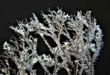 İdeal Fiyat: Elektrikli Bisiklet Alırken Dikkat Edilmesi Gerekenler ve Menzil Analizi İdeal Fiyat: Elektrikli Bisiklet Alırken Dikkat Edilmesi Gerekenler ve Menzil Analizi