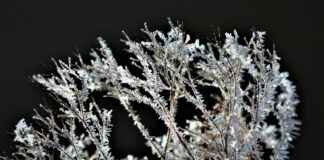 İdeal Fiyat: Elektrikli Bisiklet Alırken Dikkat Edilmesi Gerekenler ve Menzil Analizi İdeal Fiyat: Elektrikli Bisiklet Alırken Dikkat Edilmesi Gerekenler ve Menzil Analizi