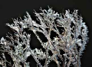 İdeal Fiyat: Elektrikli Bisiklet Alırken Dikkat Edilmesi Gerekenler ve Menzil Analizi İdeal Fiyat: Elektrikli Bisiklet Alırken Dikkat Edilmesi Gerekenler ve Menzil Analizi