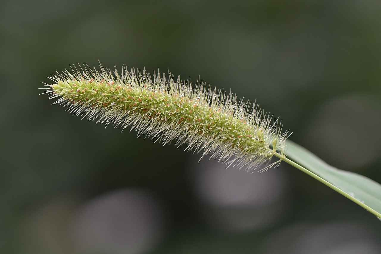 Sonuç: Elektrikli Bisiklet ile Doğanın Keyfini Çıkarın