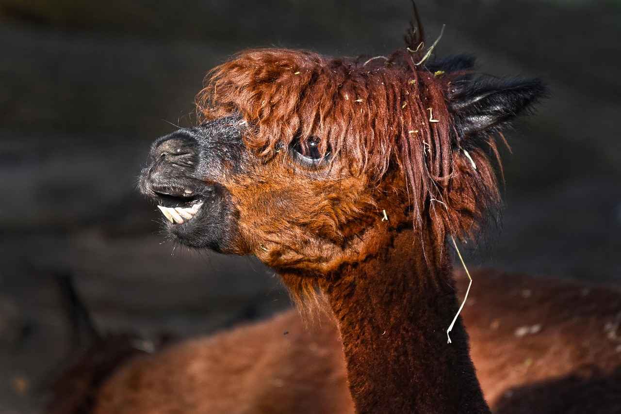 Karbon Fiber Çerçevelerin Avantajları