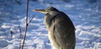 Katlanabilir Elektrikli Bisikletler: Taşınabilirlik ve Kullanışlılık Katlanabilir Elektrikli Bisikletler: Taşınabilirlik ve Kullanışlılık