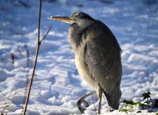 Katlanabilir Elektrikli Bisikletler: Taşınabilirlik ve Kullanışlılık Katlanabilir Elektrikli Bisikletler: Taşınabilirlik ve Kullanışlılık
