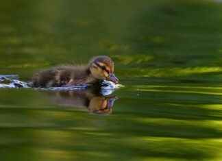 Kış Aylarında Elektrikli Bisiklet Kullanımı: İpuçları ve Öneriler Kış Aylarında Elektrikli Bisiklet Kullanımı: İpuçları ve Öneriler