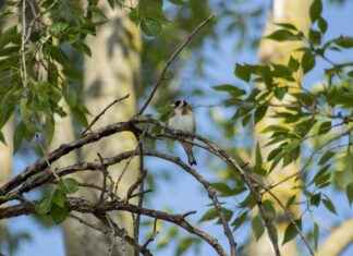 Kış Sürüşü İçin İdeal Giysi ve Aksesuarlar: Soğuktan Korunun Kış Sürüşü İçin İdeal Giysi ve Aksesuarlar: Soğuktan Korunun