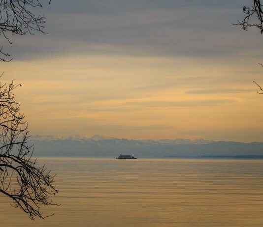 Kısa Mesafelerde Etkili Elektrikli Bisiklet Modelleri: Ekonomik Seçenekler Kısa Mesafelerde Etkili Elektrikli Bisiklet Modelleri: Ekonomik Seçenekler