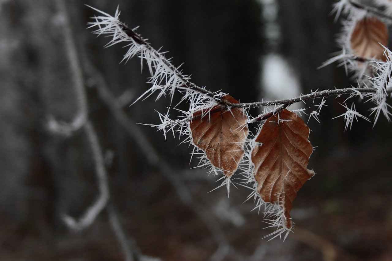 Kısa Mesafelerde Etkili Elektrikli Bisiklet Modelleri: Ekonomik Seçenekler 4 Elektrikli Bisiklet Satın Alırken Dikkat Edilmesi Gerekenler
