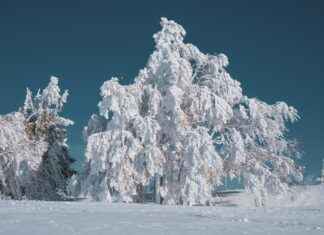 Menzil-Ücret Dengesi: Şehir İçi Kullanım İçin İdeal Elektrikli Bisikletler Menzil-Ücret Dengesi: Şehir İçi Kullanım İçin İdeal Elektrikli Bisikletler