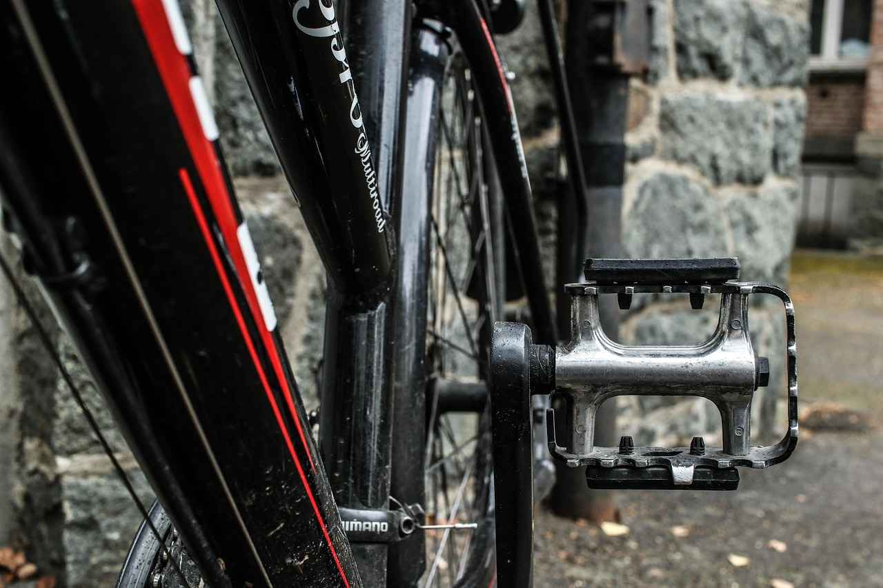 Pedal Desteği Nedir?