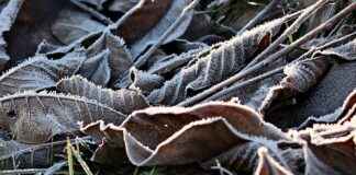 Pil Değişimi: Elektrikli Bisikletler için Doğru Zaman Ne Zaman? Pil Değişimi: Elektrikli Bisikletler için Doğru Zaman Ne Zaman?