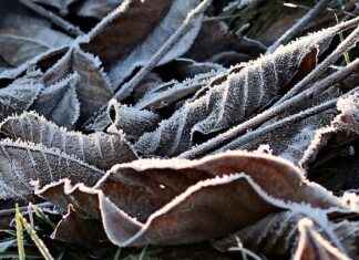 Pil Değişimi: Elektrikli Bisikletler için Doğru Zaman Ne Zaman? Pil Değişimi: Elektrikli Bisikletler için Doğru Zaman Ne Zaman?