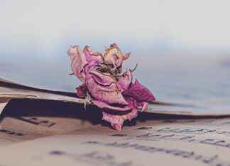 Şarj Süreleri ve Menzil: Elektrikli Bisikletlerde Dikkat Edilmesi Gerekenler Şarj Süreleri ve Menzil: Elektrikli Bisikletlerde Dikkat Edilmesi Gerekenler