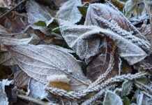 Şehir İçi Ulaşımda Elektrikli Bisikletlerin Avantajları ve Dezavantajları Şehir İçi Ulaşımda Elektrikli Bisikletlerin Avantajları ve Dezavantajları