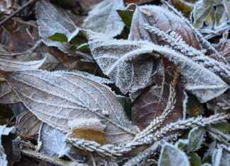 Şehir İçi Ulaşımda Elektrikli Bisikletlerin Avantajları ve Dezavantajları Şehir İçi Ulaşımda Elektrikli Bisikletlerin Avantajları ve Dezavantajları