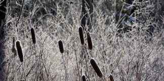 Uygun Fiyatlı Elektrikli Bisikletler: Kaliteyi Kaybetmeden Tasarruf Edin Uygun Fiyatlı Elektrikli Bisikletler: Kaliteyi Kaybetmeden Tasarruf Edin