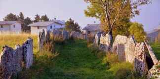 Uzun Menzil, Uygun Fiyat: Elektrikli Bisikletlerde Fiyat-Performans Şampiyonları Uzun Menzil, Uygun Fiyat: Elektrikli Bisikletlerde Fiyat-Performans Şampiyonları