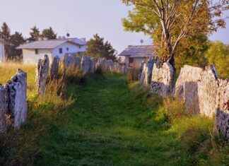 Uzun Menzil, Uygun Fiyat: Elektrikli Bisikletlerde Fiyat-Performans Şampiyonları Uzun Menzil, Uygun Fiyat: Elektrikli Bisikletlerde Fiyat-Performans Şampiyonları