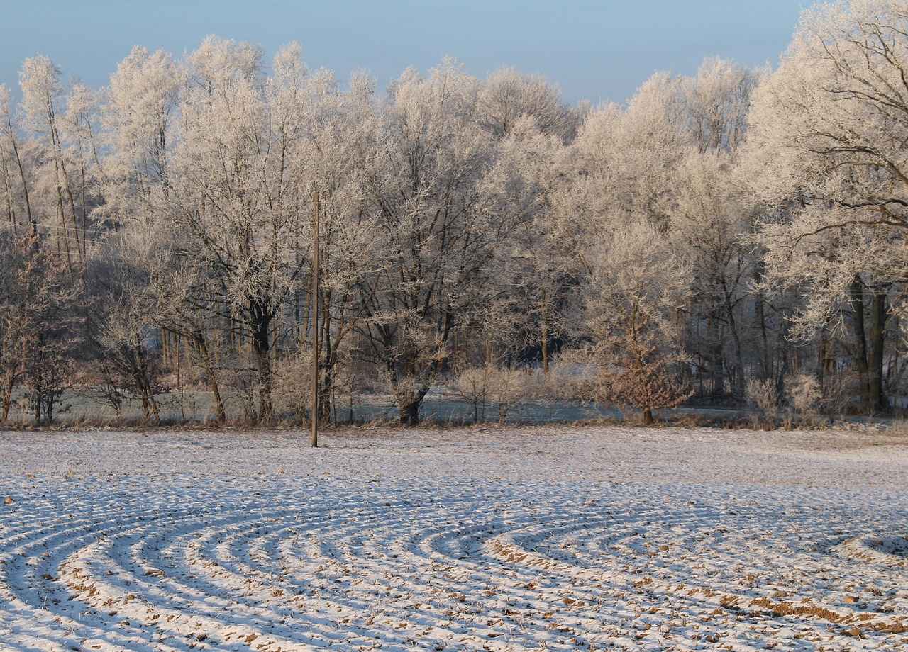Elektrikli Bisikletlerin Geleceği