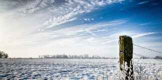 1000 W Elektrikli Bisiklet Yasak Mı? Tüm Bilmeniz Gerekenler 1000 W Elektrikli Bisiklet Yasak Mı? Tüm Bilmeniz Gerekenler