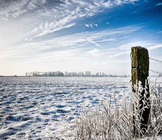 1000 W Elektrikli Bisiklet Yasak Mı? Tüm Bilmeniz Gerekenler 1000 W Elektrikli Bisiklet Yasak Mı? Tüm Bilmeniz Gerekenler