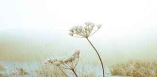 2. El En Ucuz Elektrikli Bisiklet Fiyatları Listesi 2. El En Ucuz Elektrikli Bisiklet Fiyatları Listesi