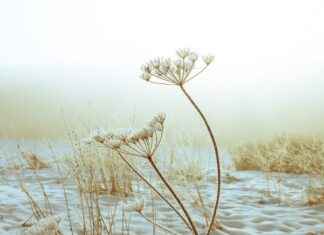 2. El En Ucuz Elektrikli Bisiklet Fiyatları Listesi 2. El En Ucuz Elektrikli Bisiklet Fiyatları Listesi