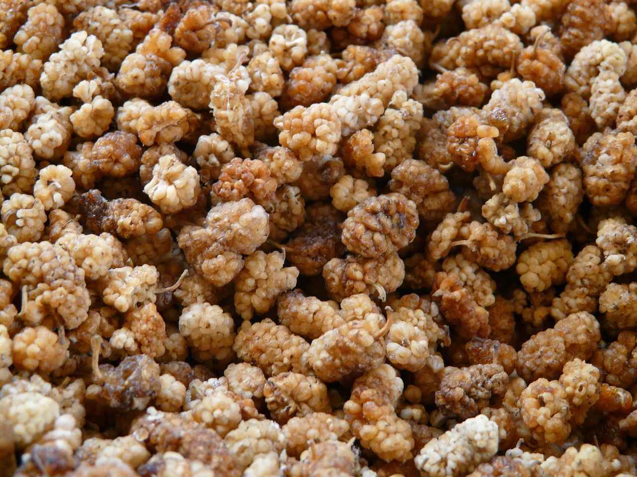 Fiyat Performans Oranı