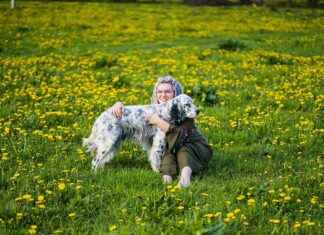 Bim Elektrikli Bisiklet Gerçekten Alınır Mı? İnceleme Bim Elektrikli Bisiklet Gerçekten Alınır Mı? İnceleme