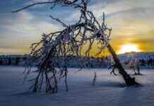Bisiklet Jant Genişliği Ne Anlama Gelir? Nasıl Seçilmeli? Bisiklet Jant Genişliği Ne Anlama Gelir? Nasıl Seçilmeli?