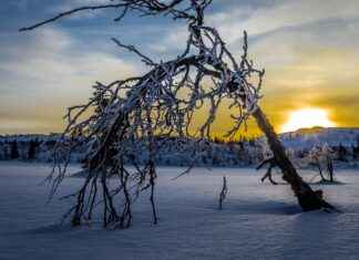 Bisiklet Jant Genişliği Ne Anlama Gelir? Nasıl Seçilmeli? Bisiklet Jant Genişliği Ne Anlama Gelir? Nasıl Seçilmeli?