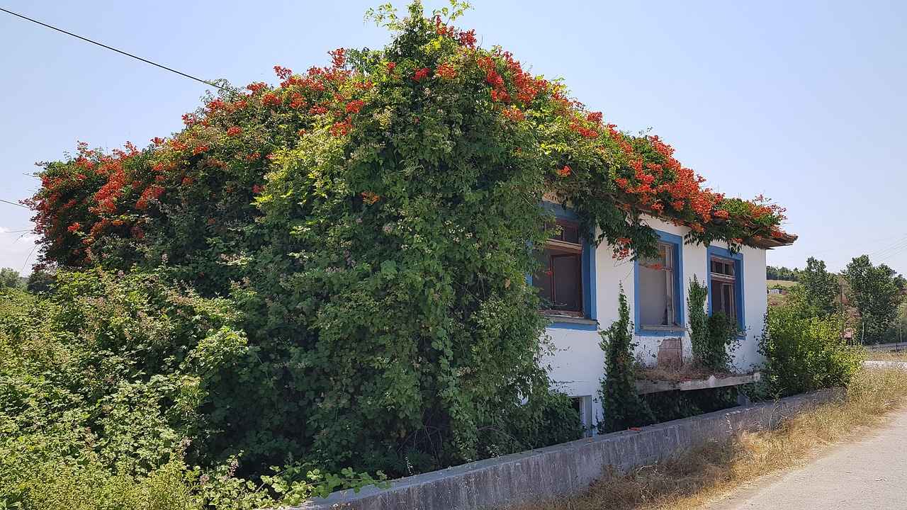 Hangi Kilidi Seçmeli?