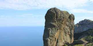 Bisiklet Yol Çantası Alırken Hangi Özelliklere Dikkat Etmeli? Bisiklet Yol Çantası Alırken Hangi Özelliklere Dikkat Etmeli?