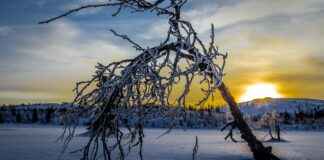 Dağ Bisikleti ile Yol Bisikleti Arasındaki Temel Farklar Dağ Bisikleti ile Yol Bisikleti Arasındaki Temel Farklar
