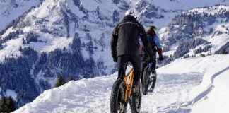 Elektrikli Bisiklet Modelleri Arasında Nasıl Seçim Yapılır? Elektrikli Bisiklet Modelleri Arasında Nasıl Seçim Yapılır?