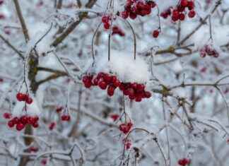 Kalın Tekerlekli Elektrikli Bisiklet Nerelerde Kullanılır? Kalın Tekerlekli Elektrikli Bisiklet Nerelerde Kullanılır?