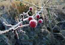 Katlanır Elektrikli Bisiklet Hangi Alanlarda Kullanılır? Katlanır Elektrikli Bisiklet Hangi Alanlarda Kullanılır?