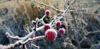 Katlanır Elektrikli Bisiklet Hangi Alanlarda Kullanılır? Katlanır Elektrikli Bisiklet Hangi Alanlarda Kullanılır?
