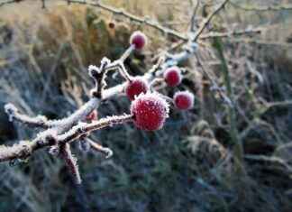 Katlanır Elektrikli Bisiklet Hangi Alanlarda Kullanılır? Katlanır Elektrikli Bisiklet Hangi Alanlarda Kullanılır?