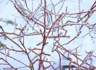 Kuba Elektrikli Bisiklet Alınır mı? Artıları ve Eksileri Kuba Elektrikli Bisiklet Alınır mı? Artıları ve Eksileri